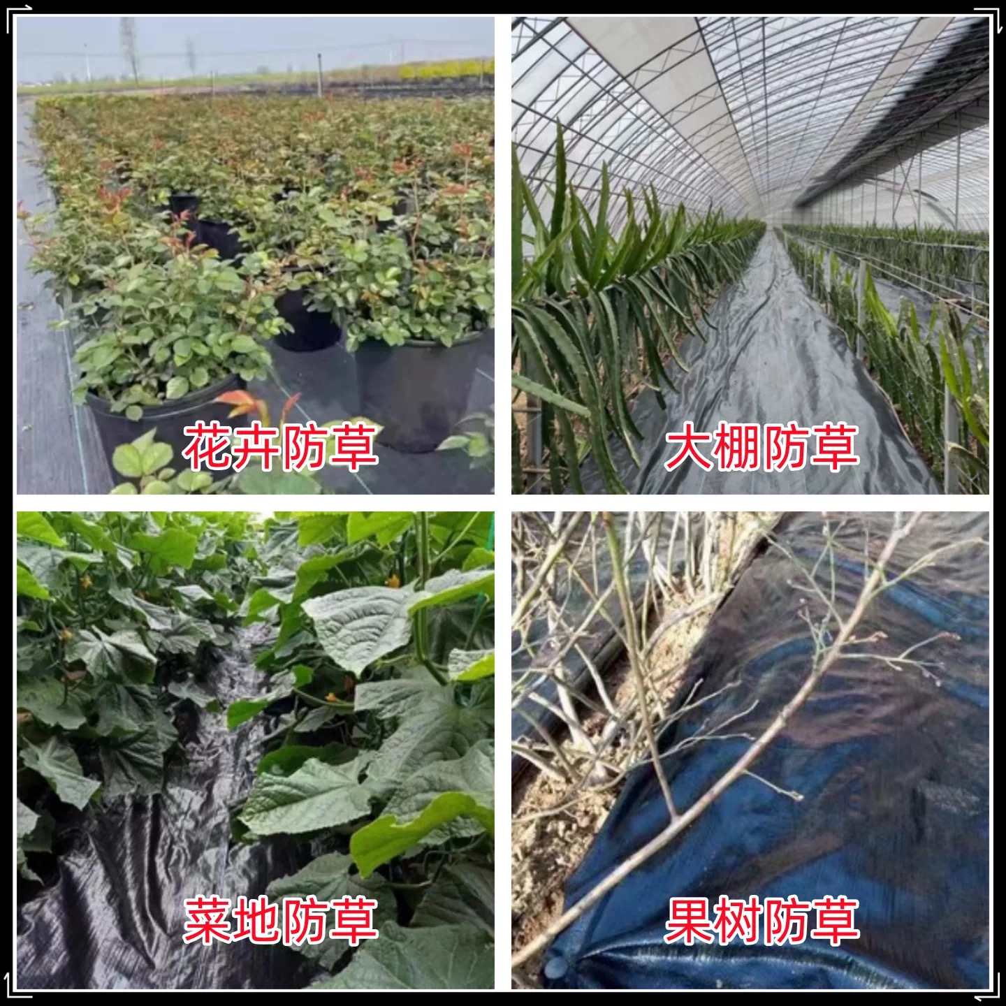 榆林市货车苫盖膜防草布 - 哪里好