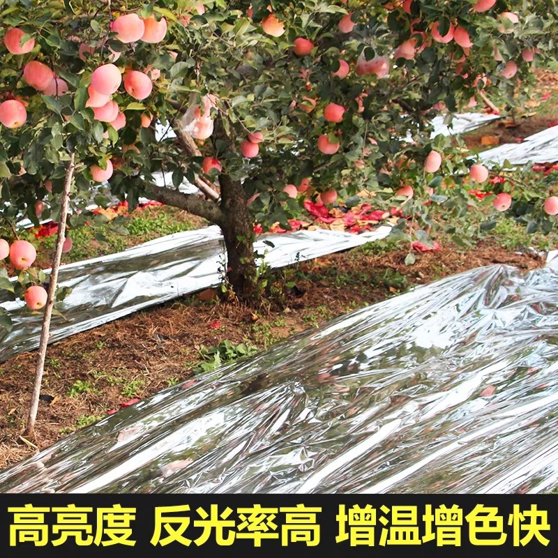 榆林市货车苫盖膜果树反光膜 - 推荐